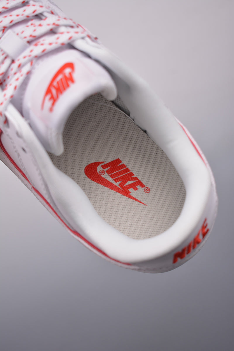 Nike SB Dunk Low